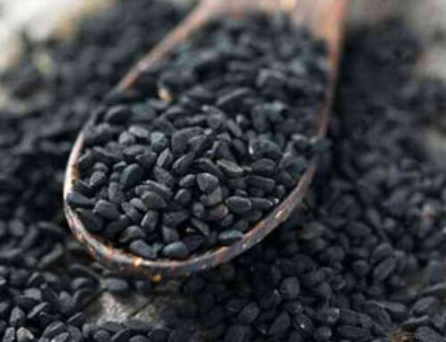 Black Seed
