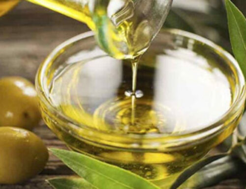 Olive Oil